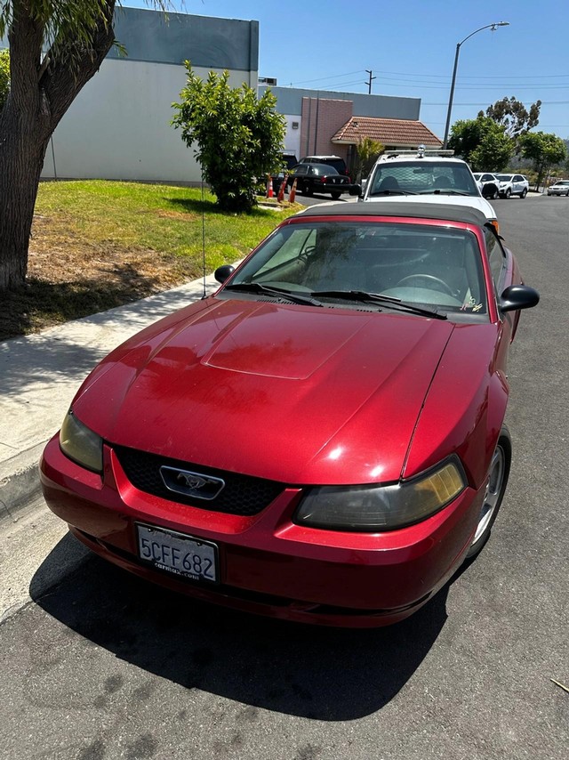2003 Ford Mustang 2dr Conv at Wild Rose Motors - PoliceInterceptors.info in Anaheim CA