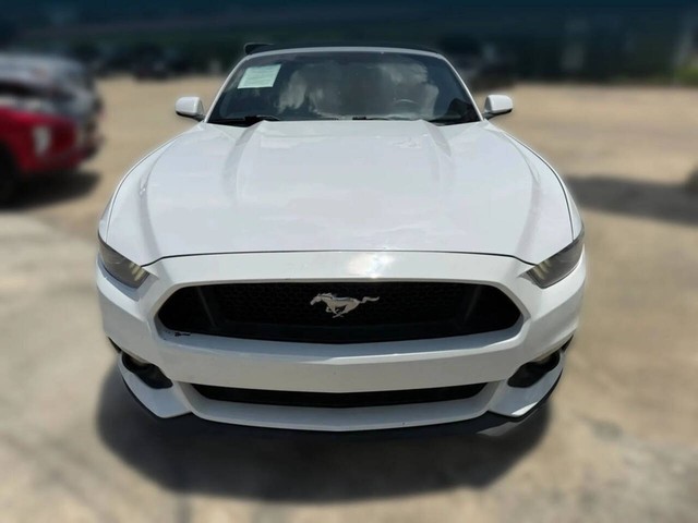 Ford Mustang Vehicle Full-screen Gallery Image 02