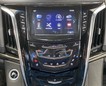 2018 Cadillac Escalade Platinum thumbnail image 22