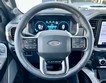 2023 Ford F-150 4WD Platinum SuperCrew thumbnail image 15
