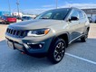 2021 Jeep Compass 4WD Trailhawk thumbnail image 08