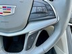 2021 Cadillac XT5 FWD Premium Luxury thumbnail image 17