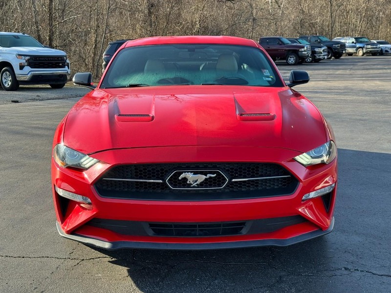 Ford Mustang Vehicle Full-screen Gallery Image 08