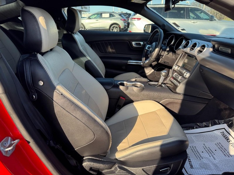 Ford Mustang Vehicle Full-screen Gallery Image 12