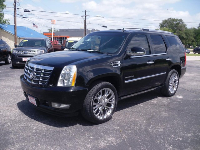 2011 Cadillac Escalade Premium at Procter Motor Company Inc. in Lampasas TX