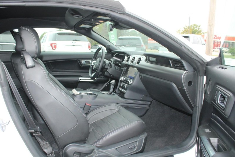 Ford Mustang Vehicle Full-screen Gallery Image 10