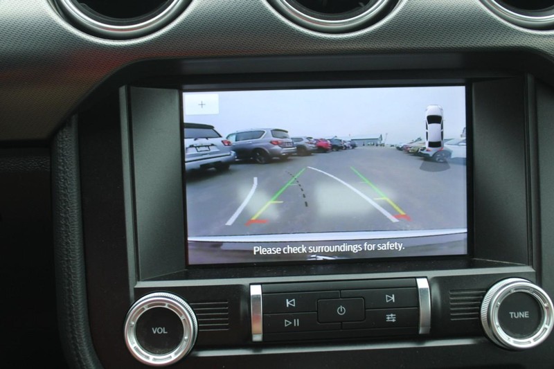 Ford Mustang Vehicle Full-screen Gallery Image 18