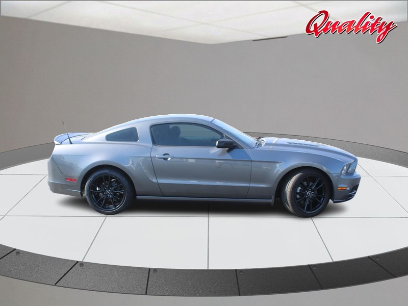 Ford Mustang Vehicle Image 02