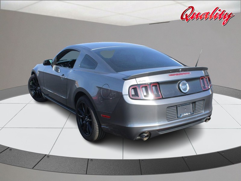 Ford Mustang Vehicle Image 05