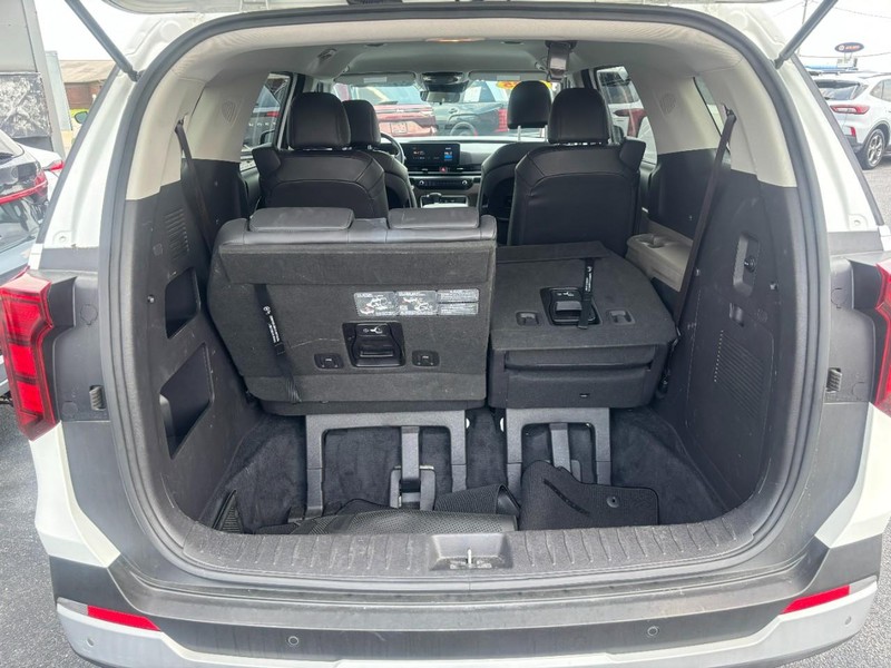 Kia Carnival Vehicle Image 06