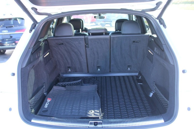 Audi SQ5 Vehicle Full-screen Gallery Image 06