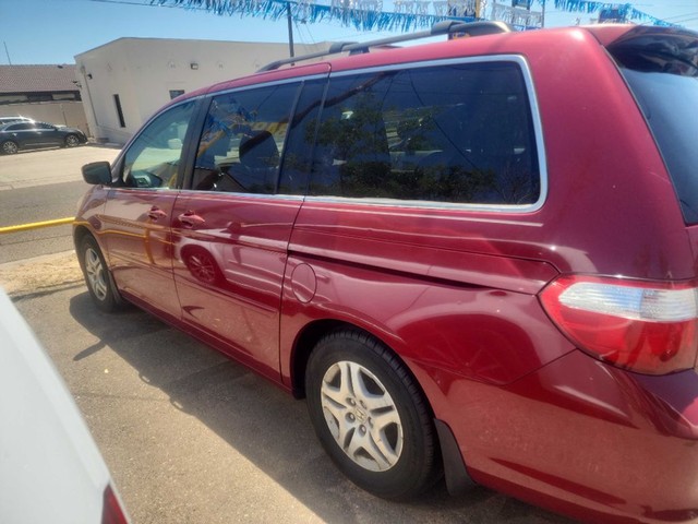 2006 Honda Odyssey EX w/ Leather DVD RES and Navigation's photo