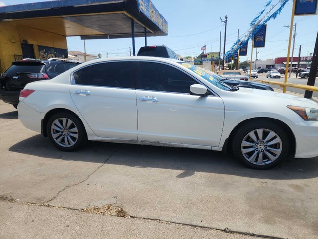 2011 Honda Accord EX-L V6's photo