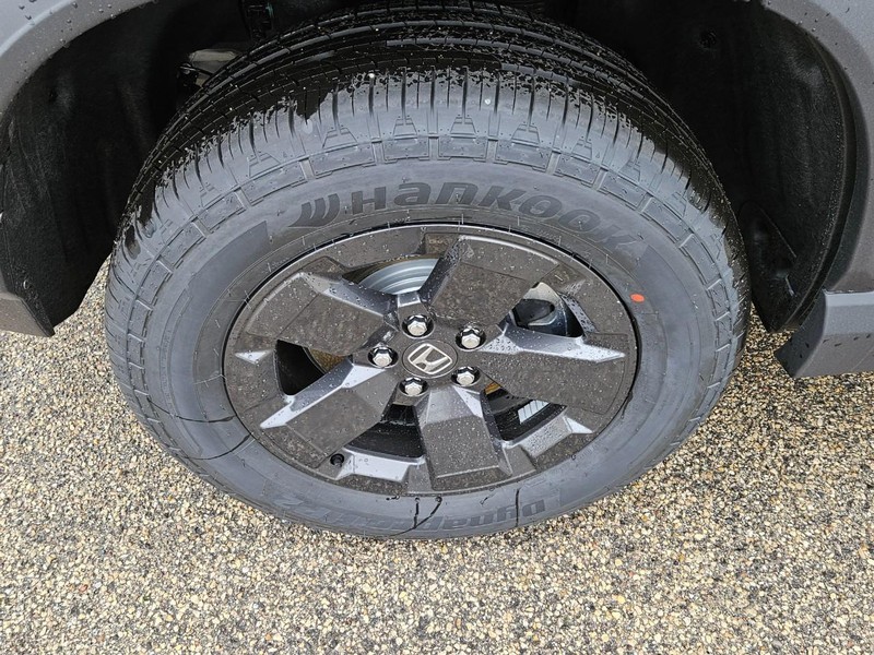 Honda Passport Vehicle Image 4