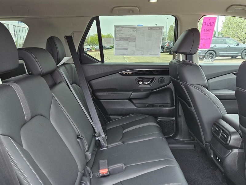 Honda Passport Vehicle Image 5