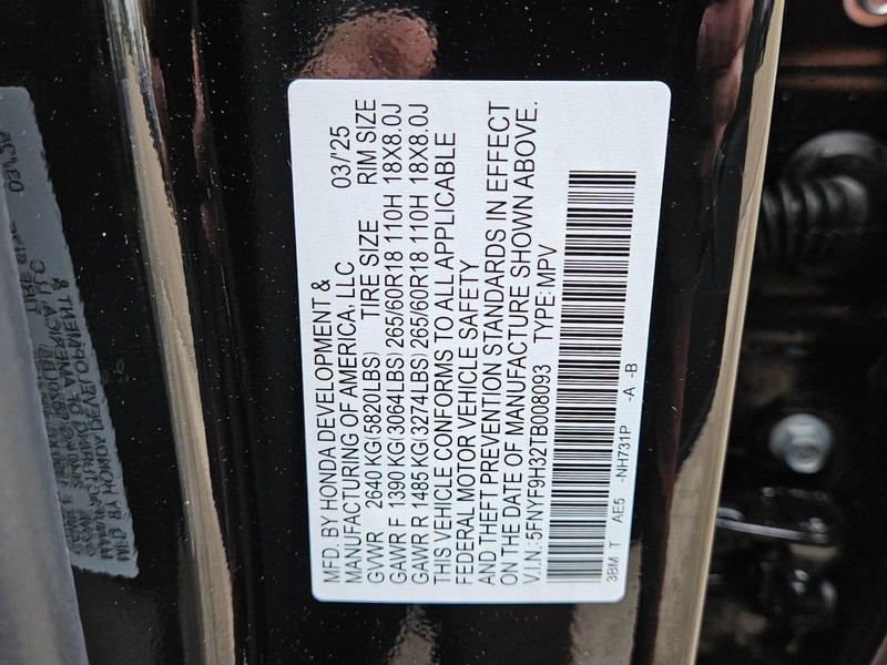 Honda Passport Vehicle Image 19
