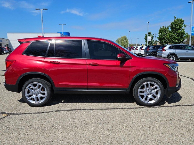 Honda Passport Vehicle Image 2