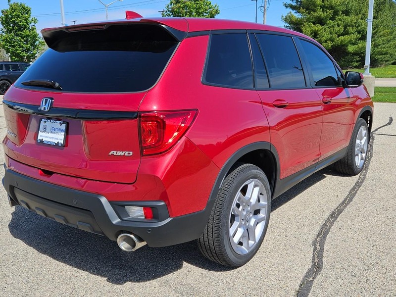 Honda Passport Vehicle Image 3