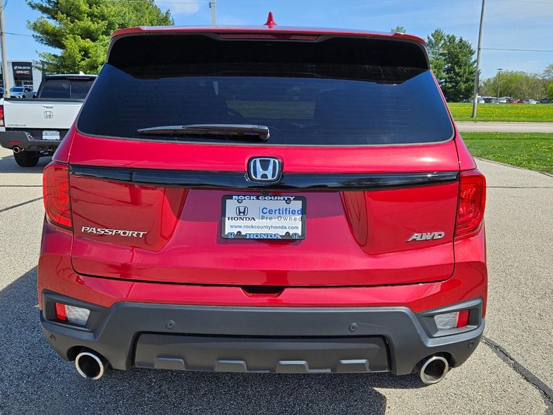 Honda Passport Vehicle Image 4