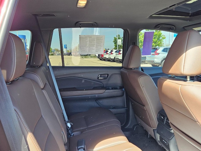 Honda Passport Vehicle Image 9