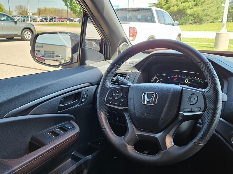 Honda Passport Vehicle Image 13