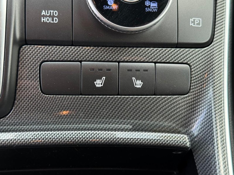Hyundai Santa Fe Vehicle Image 19