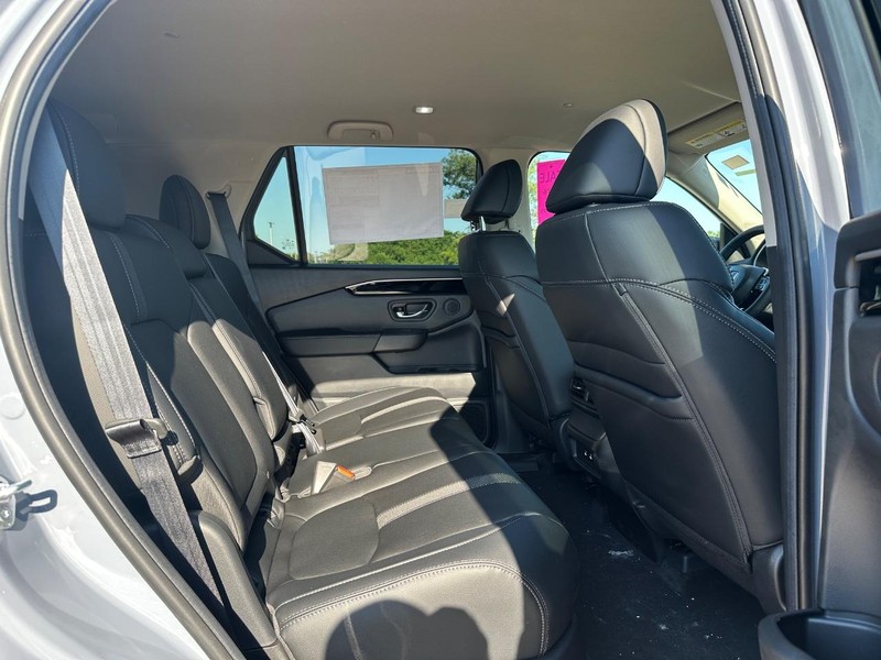 Honda Passport Vehicle Image 5