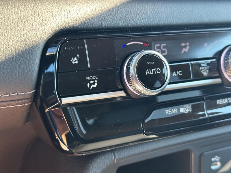 Honda Passport Vehicle Image 14