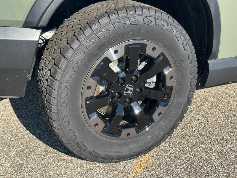 Honda Passport Vehicle Image 4