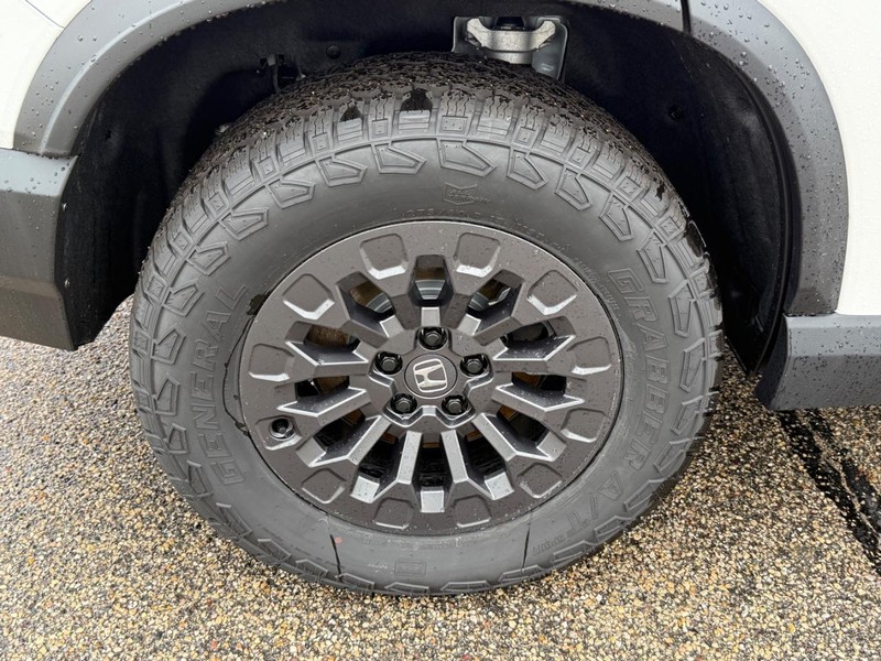 Honda Passport Vehicle Image 4