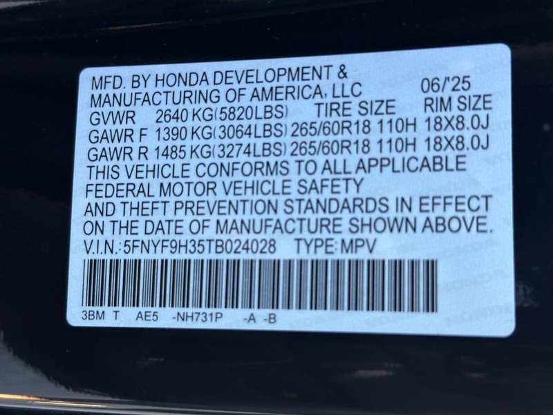 Honda Passport Vehicle Image 20
