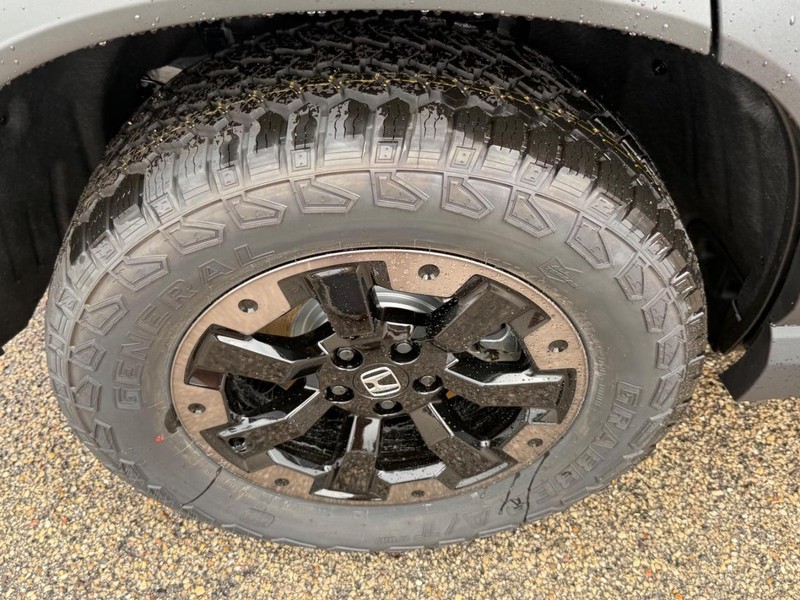 Honda Passport Vehicle Image 4