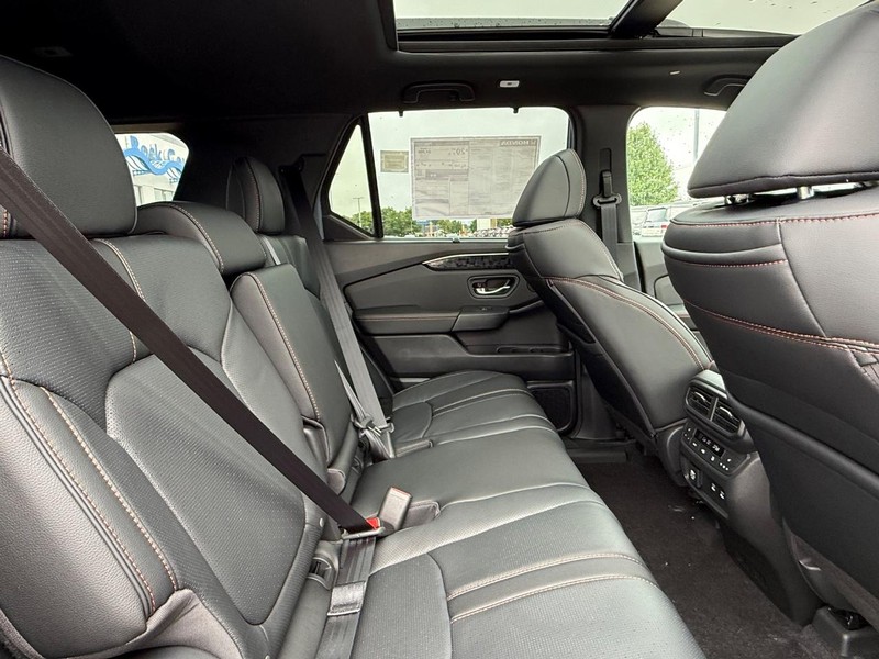 Honda Passport Vehicle Image 5