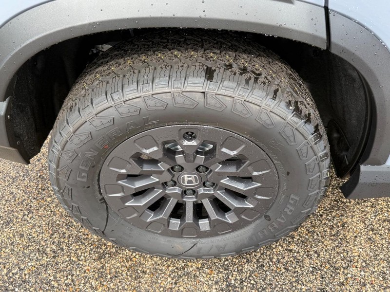 Honda Passport Vehicle Image 4
