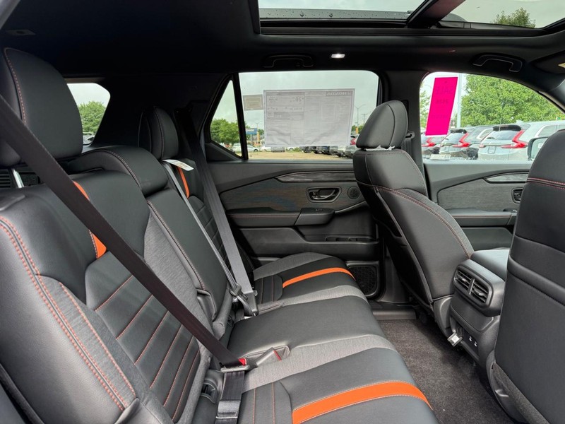 Honda Passport Vehicle Image 5