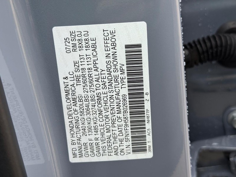 Honda Passport Vehicle Image 18