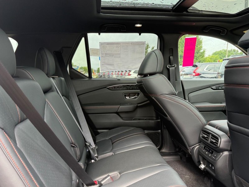 Honda Passport Vehicle Image 5