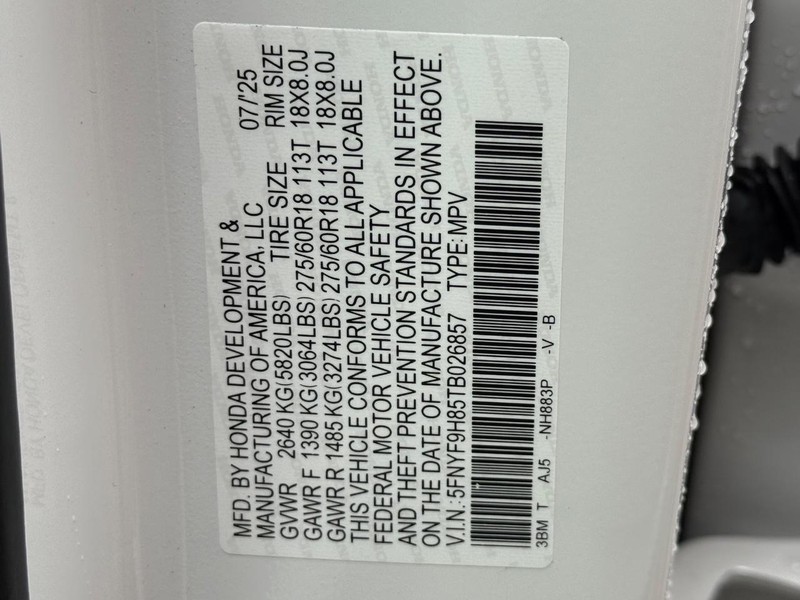 Honda Passport Vehicle Image 18