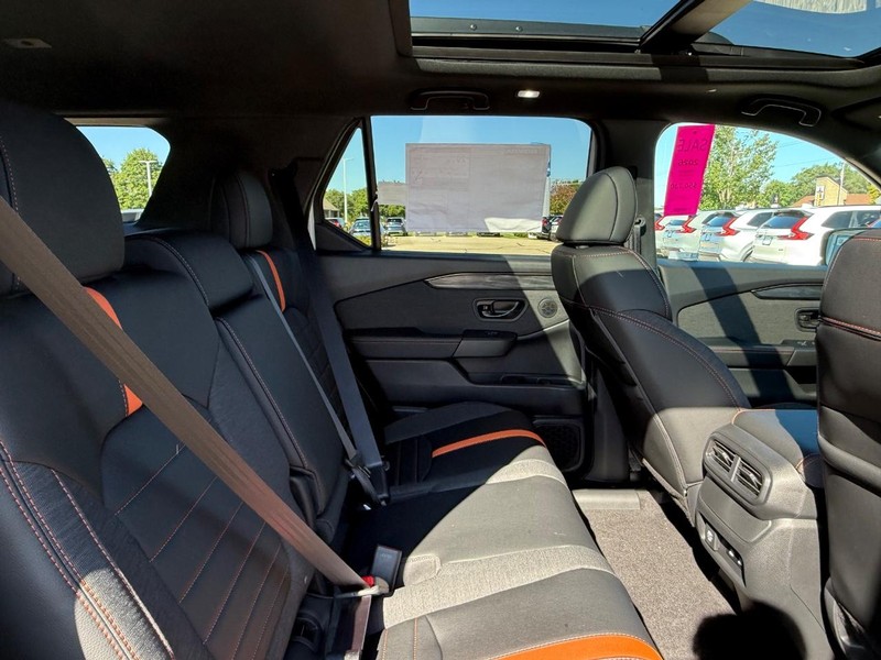 Honda Passport Vehicle Image 5