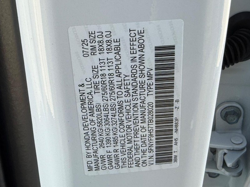 Honda Passport Vehicle Image 18