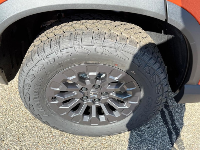 Honda Passport Vehicle Image 4