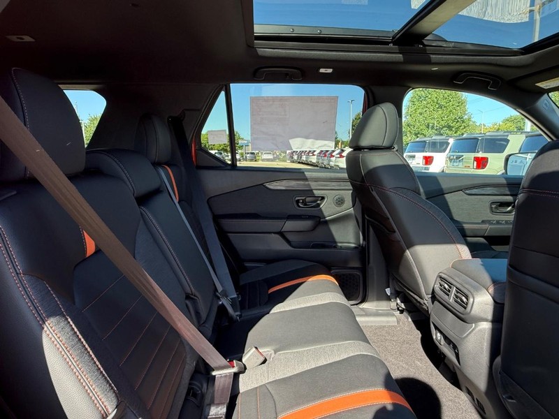 Honda Passport Vehicle Image 5