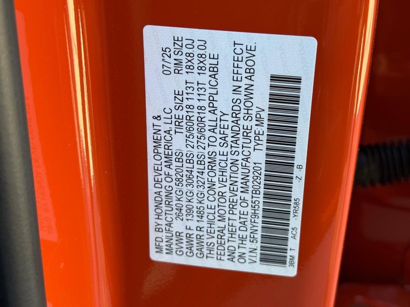 Honda Passport Vehicle Image 18