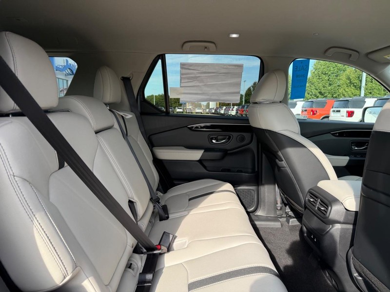 Honda Passport Vehicle Image 5