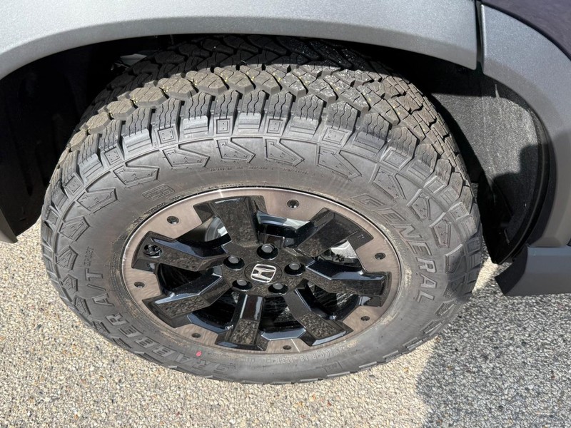 Honda Passport Vehicle Image 4