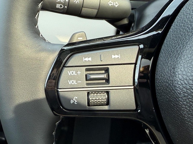 Honda Passport Vehicle Image 12