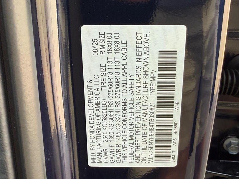Honda Passport Vehicle Image 18