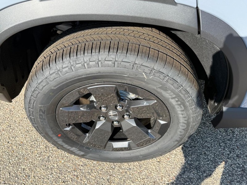 Honda Passport Vehicle Image 4