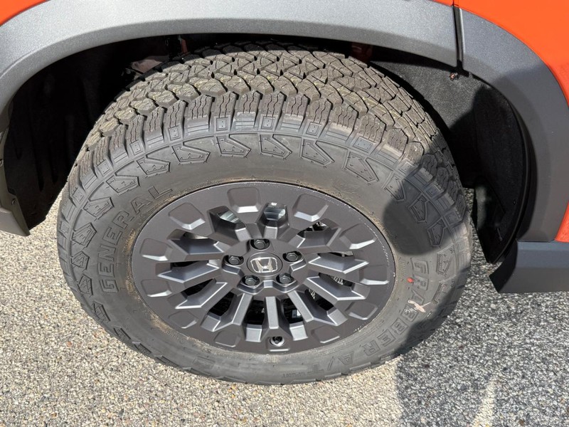 Honda Passport Vehicle Image 4