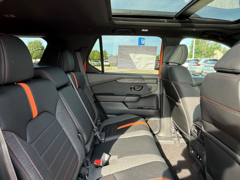 Honda Passport Vehicle Image 5